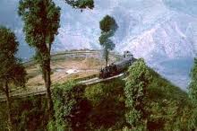 Manufacturers Exporters and Wholesale Suppliers of Darjeeling Sikkim LTC Tour Silguri West Bengal